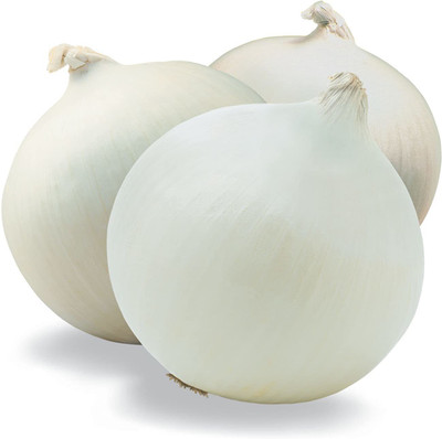VibeX ™ XL-20-Onion (White) Seeds-900 x Seeds Seed(900 per packet)