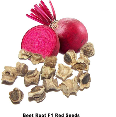 CRGO BEETROOT , CHUKANDAR Seed(150 per packet)
