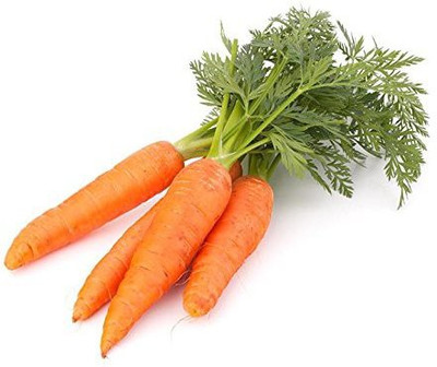 VibeX ® XL-85-Garden Carrot Seeds-100 x Seeds Seed(100 per packet)
