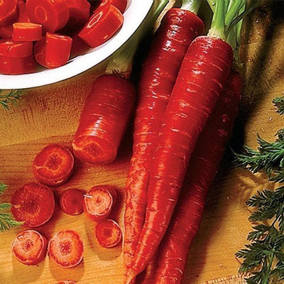VibeX ™ XL-346-CARROT SELECTION RED VARIETY-175 x Seeds Seed(175 per packet)