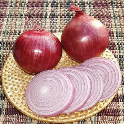 VibeX ® XL-895-Farm™ Hybrid Onion Seeds -100 x Seeds Seed(100 per packet)
