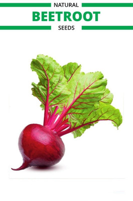 CRGO BEETROOT , CHUKANDAR Seed(200 per packet)
