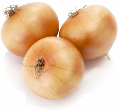 MKR Enterprises Onion Seed(20 per packet)