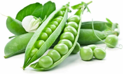 TRICONE Matar Seed(300 per packet)