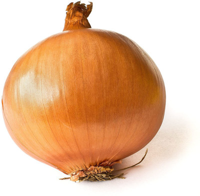 VibeX ® XL-1045-ONION IMPROVED GAVRAN VARIETY-150 x Seeds Seed(150 per packet)