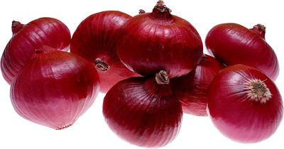 CYBEXIS Onion Improved Dark RED Variety1000 Seeds Seed(1000 per packet)