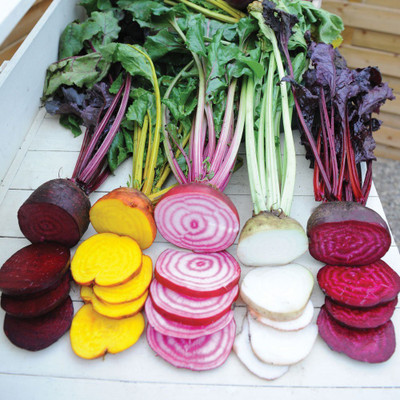 CRGO BEETROOT , CHUKANDAR Seed(20 per packet)