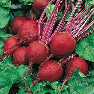 Aywal Dark Red Beetroot Seed(200 per packet)