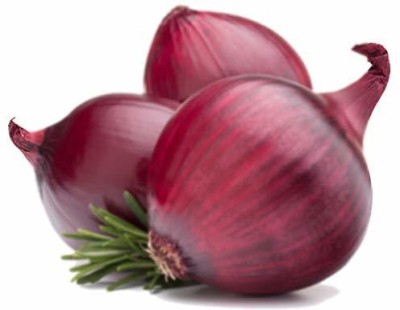 VibeX ™ XL-704-Organic Desi Nasik Onion Seeds-120 x Seeds Seed(120 per packet)