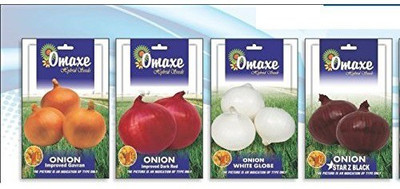 VibeX ® XL-695-Onion Improved Variety 4TYPES Seeds Combo-125 x Seeds Seed(125 per packet)