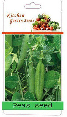 VibeX XL-329-Peas P3 Approved and Suitable for Plain/Hills-250 Seeds Seed(250 per packet)