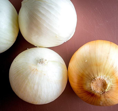 XOLDA White Onion Seed(33 per packet)