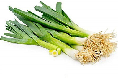 WILLVINE ONION Seed(300 per packet)
