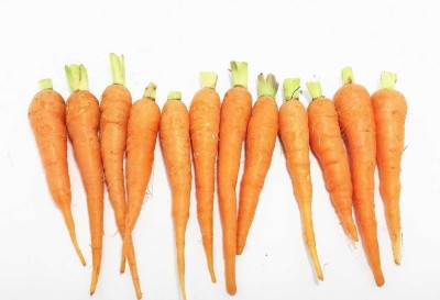 VibeX ™ XL-78-Vegetable Seeds @ Carrots Kuroda-300 x Seeds Seed(300 per packet)