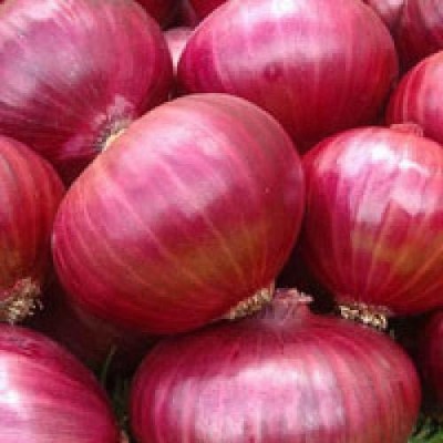 MKR Enterprises Onion Seed(150 per packet)