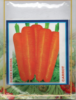 VibeX ® XL-325-Carrot seeds Super kuroda-100 x Seeds Seed(100 per packet)