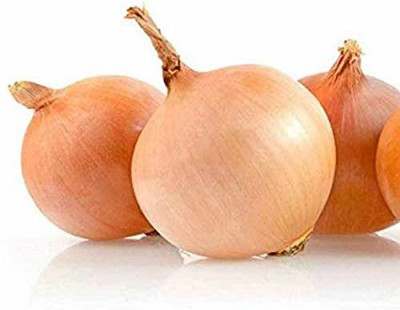 VibeX Onion Seeds Seed(500 per packet)