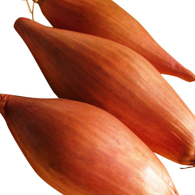 VibeX ™ XL-670-Mini Onion Shallot Seeds-1000 x Seeds Seed(1000 per packet)
