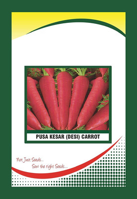 VibeX XL-363-Carrot Pusa Kesar Seeds-75 x Seeds Seed(75 per packet)