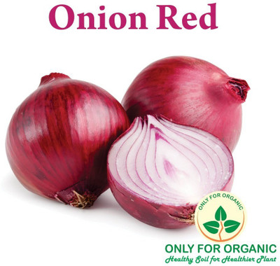 VibeX ™ XL-102-Gardening Small Onion Seeds-60 x Seeds Seed(60 per packet)