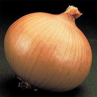 MKR Enterprises Onion Seed(150 per packet)