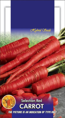 VibeX ™ XL-508-Carrot Sel Red Seeds-300 x Seeds Seed(300 per packet)