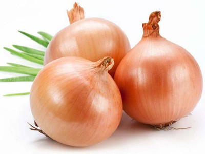 Qualtivate ® ONION IMPROVED GAVRAN SEEDS-2500 Seed Seed(2500 per packet)