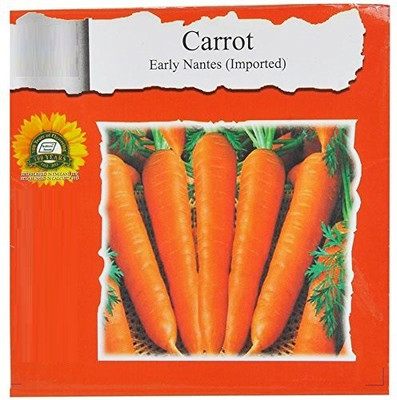 VibeX ™ XL-144-Carrot Early Nantes (Imported)-80 x Seeds Seed(80 per packet)