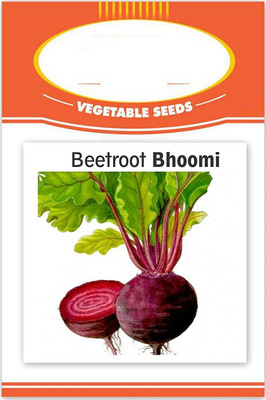 WILLVINE Beet Root Seeds Seed(2500 per packet)
