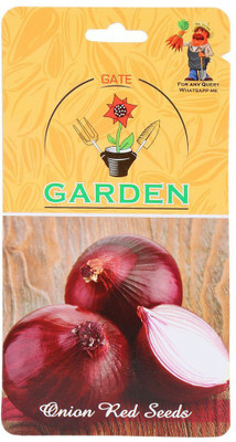 ActrovaX Onion Red [2000 Seeds] Seed(2000 per packet)