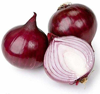ActrovaX Onion Vegetable For Home Garden [2000 Seeds] Seed(2000 per packet)