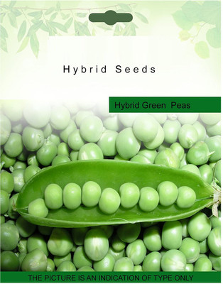 VibeX PEA Seed(1000 per packet)