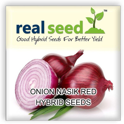 MKR Enterprises Onion Seed(250 per packet)