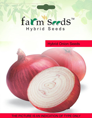VibeX Onion Seed(300 per packet)