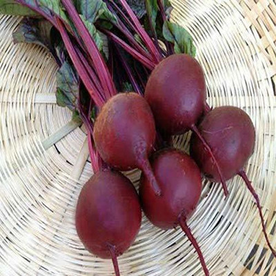 Aywal BEETROOT/TABLE BEET/GARDEN BEET/RED BEET/DINNER BEET Seed(75 per packet)