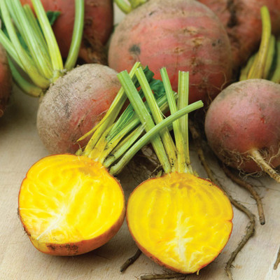 VibeX ® XL-277-Beet Root Golden imported variety-200 x Seeds Seed(200 per packet)