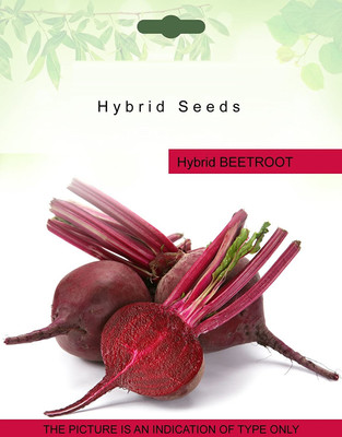 CRGO BEETROOT , CHUKANDAR Seed(75 per packet)