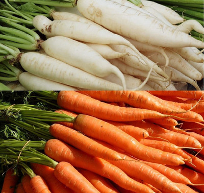 VibeX ™ XL-606-Como Pack of Heirloom White Icicle Radish Seeds And Organic Carrot Seeds-125 x Seeds Seed(125 per packet)