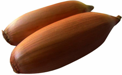 VibeX Onion Seed(500 per packet)