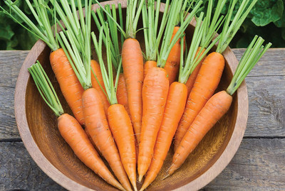 VibeX ™ XL-522-Carrot Kuroda Max Imported-50 x Seeds Seed(50 per packet)