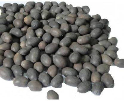 Somadev KAMAL GATTA, Natural Raw Lotus Seed Seed(108 per packet)