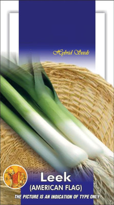 MKR Enterprises Onion Seed(150 per packet)