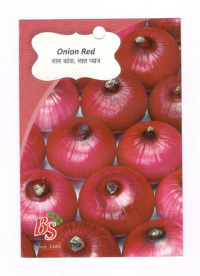VibeX Onion Seed(250 per packet)