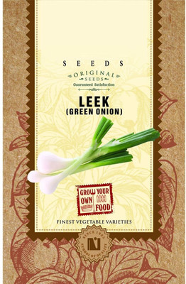 VibeX ® XL-355-Leek or Onion Seeds-100 x Seeds Seed(100 per packet)