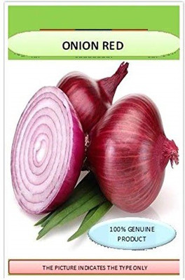 Qualtivate ™ Onion Organic F1 Hybrid Seeds-1000 Seed Seed(1000 per packet)