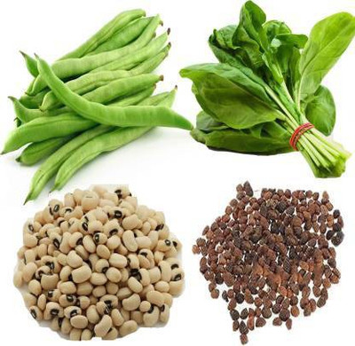 sporos Spinach Seed(25 per packet)