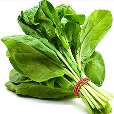 VibeX SPINACH, PALAK Seed(99 per packet)