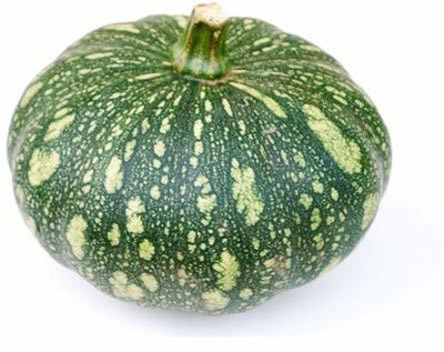 VibeX ® XXL-22 Pumpkin Kaddu F1 Hybrid Seeds Seed(50 per packet)