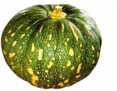 VibeX Pumpkin Seed(30 per packet)