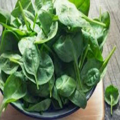 VibeX PALAK, SPINACH Seed(99 per packet)